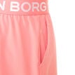 Björn Borg