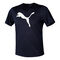 Train Favorite Heather Cat Shortsleeve Tee