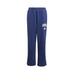 Abbigliamento adidas J CLGT FL PNT