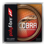 Corde Da Tennis Polyfibre Cobra 12m beige/braun