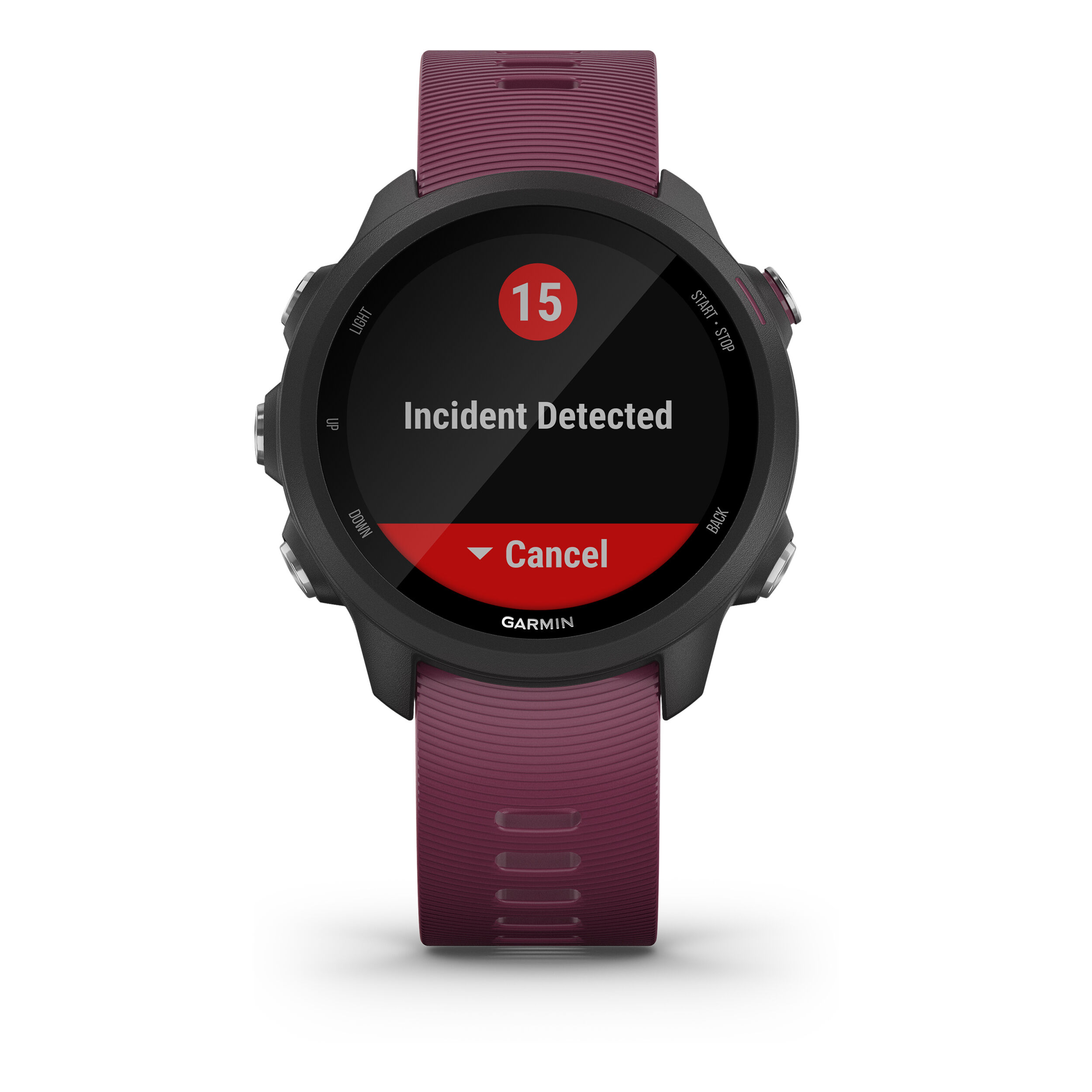 Buy Garmin Forerunner 245 Orologio Da Polso Berry Nero online Tennis Point IT