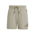 Abbigliamento adidas adidas Z.N.E. Woven Pantaloncini Uomini-Beige