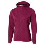 Abbigliamento Mizuno Tech Thermal Charge Hodded Jacket