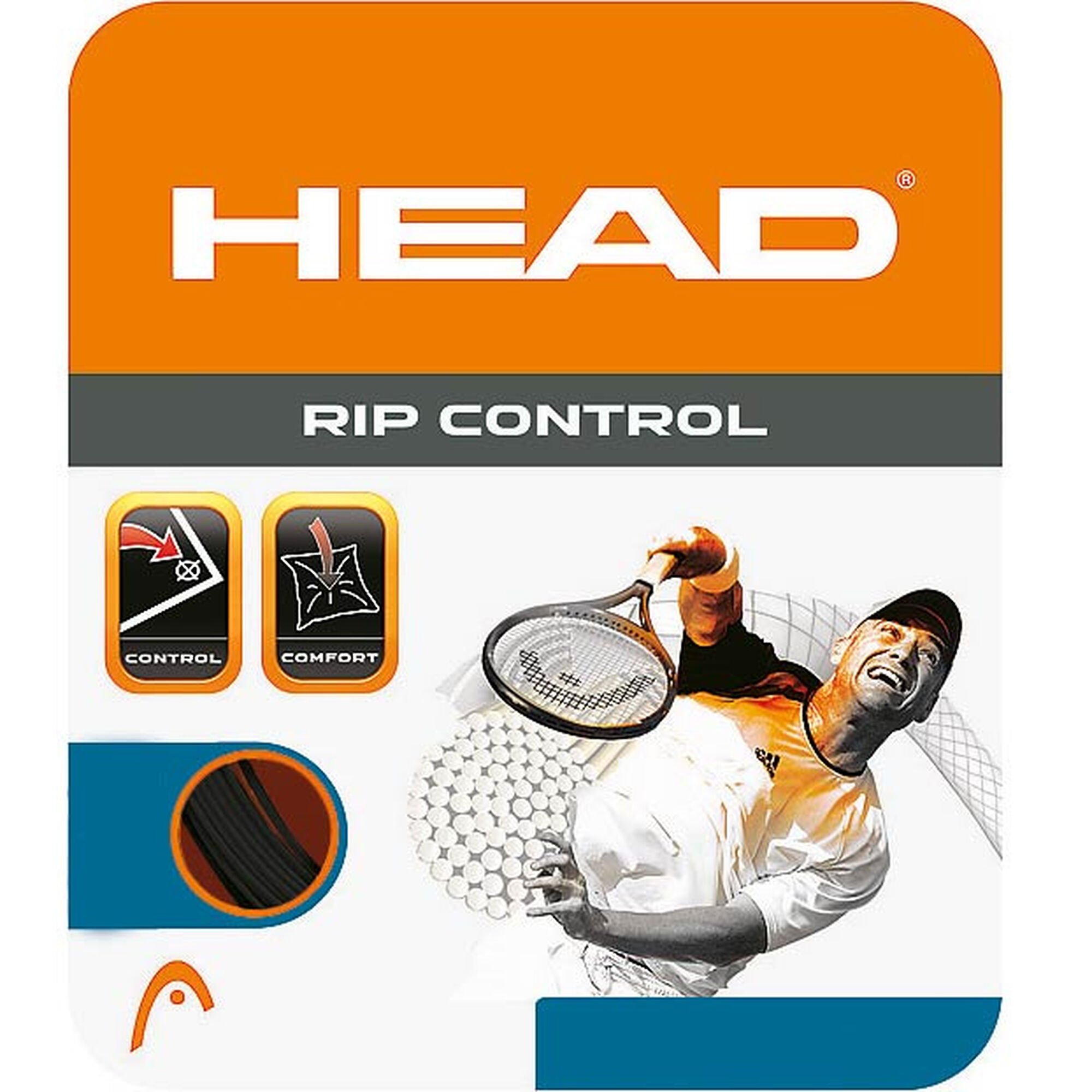 HEAD