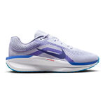 Scarpe da corsa Nike Nike Winflo&nbsp;11 Scarpe neutrali Uomini-grigio chiaro, blu