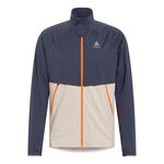 Abbigliamento Odlo Odlo Zeroweight Pro Warm Giacca Da Corsa Uomini-Grigio Chiaro,Grigio Scuro
