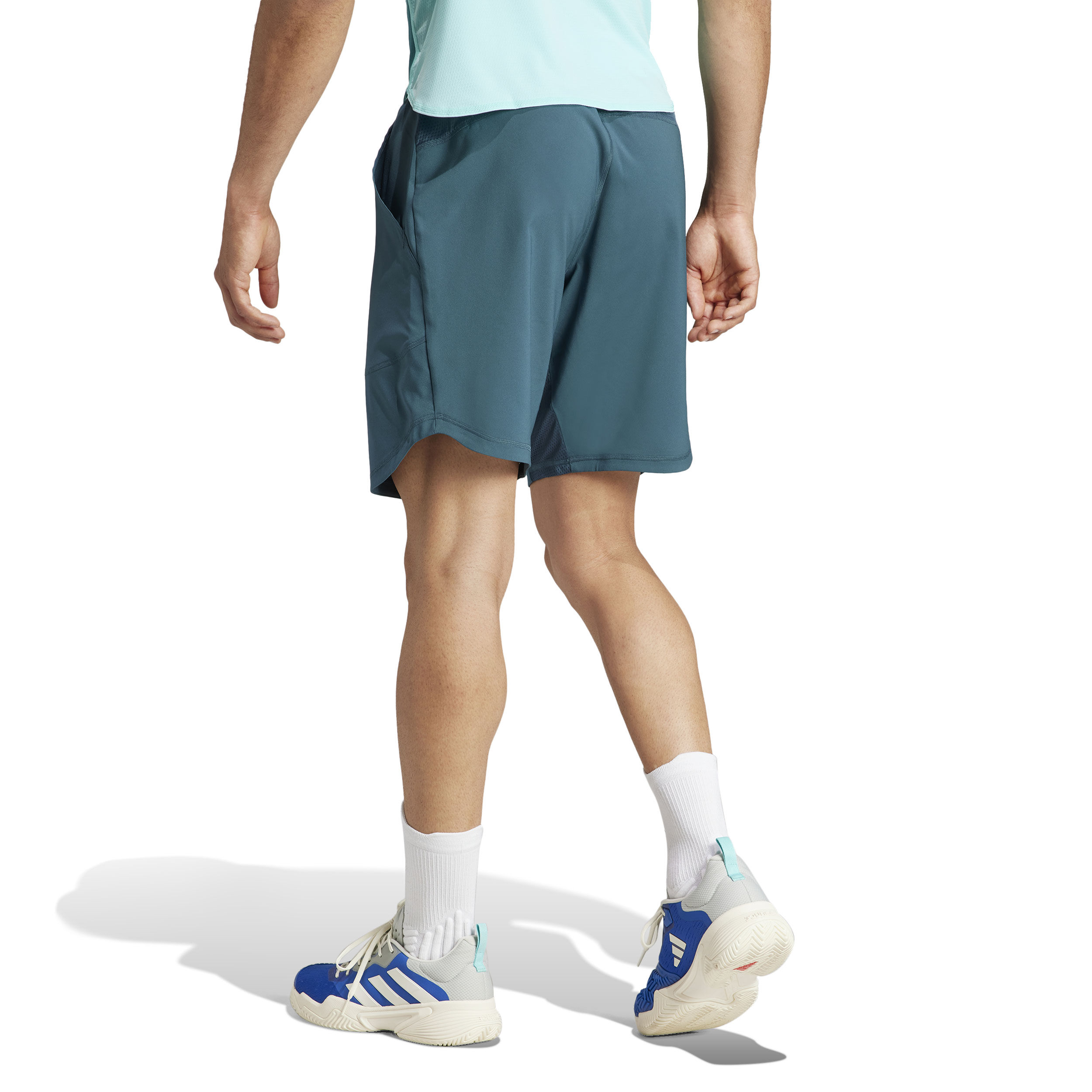 Buy adidas Pro Pantaloncini Uomini Color Petrolio Turchese online Tennis Point IT