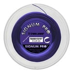 Corde Da Tennis Signum Pro Thunderstorm 120m violett