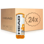 Palline Da Tennis HEAD TIP orange 3er - Stage 2 24 Dosen im Umkarton