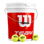 Palline da tennis Wilson Wilson Team W Trainer Secchiello Da 72 Edizione Speciale