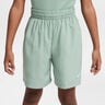 Dri-Fit Shorts