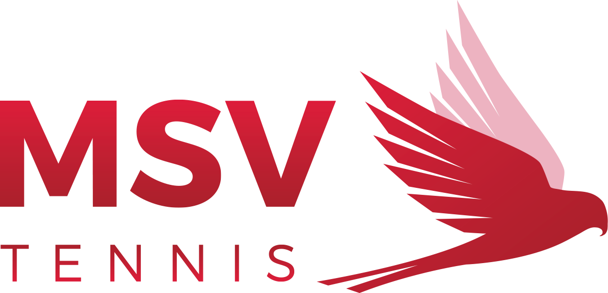 MSV